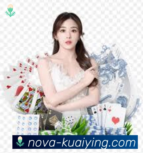 登录器 登录器